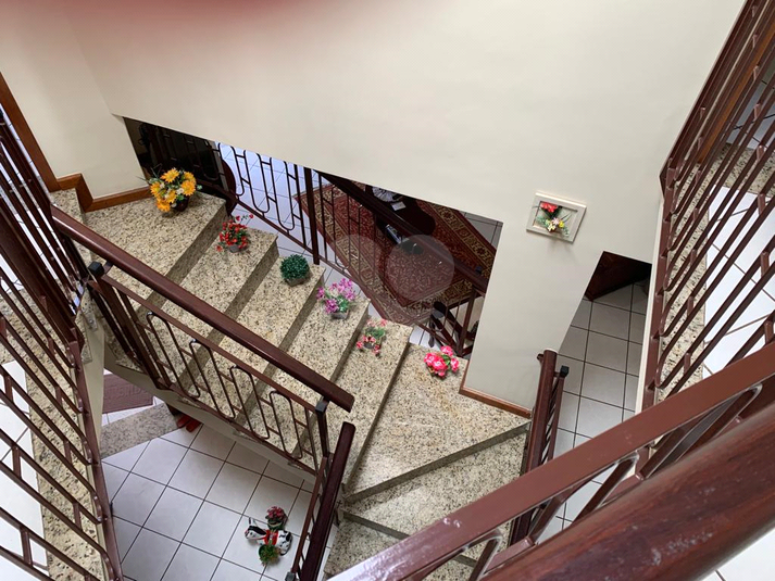Foto REO1134451