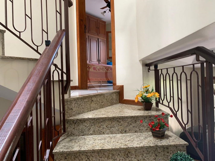 Foto REO1134451