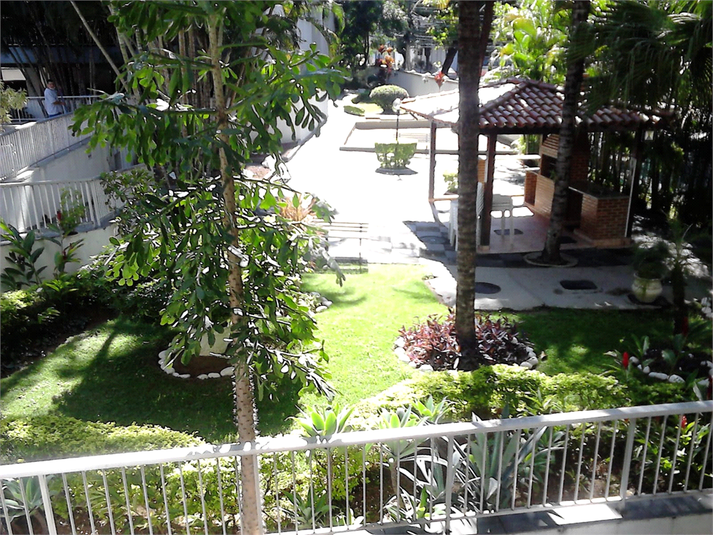 Foto REO1134454