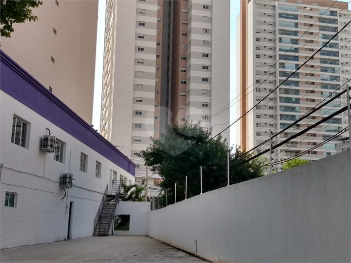 Foto REO1134455