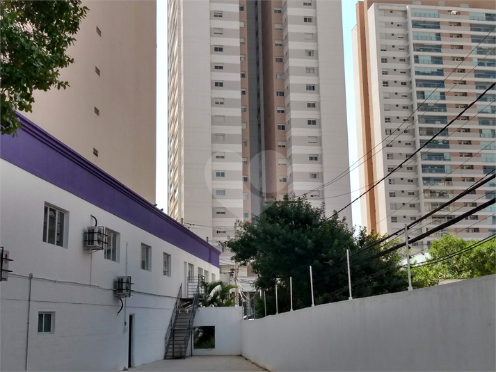 Foto REO1134455