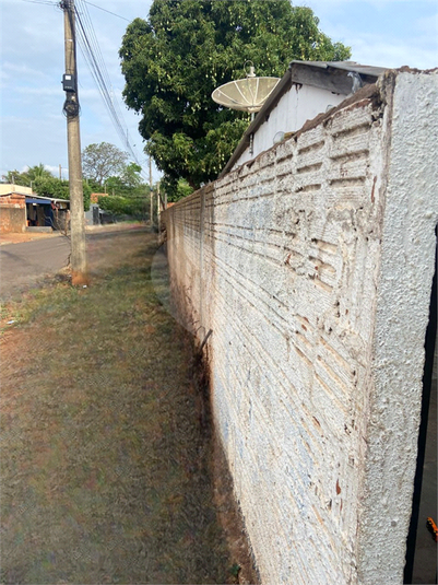 Foto REO1134460