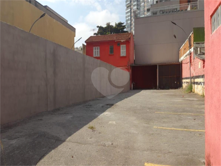 Foto REO1134476