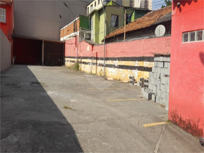 Foto REO1134476