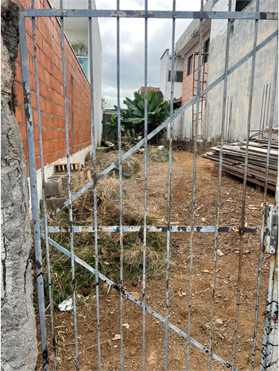 Foto REO1134477