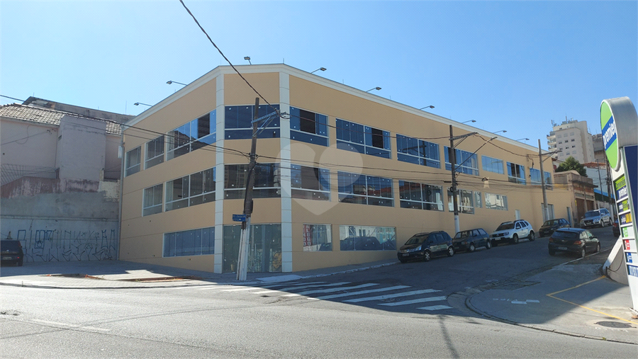 Foto REO1134480