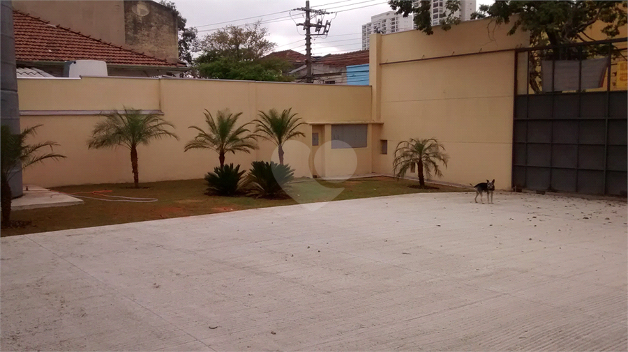 Foto REO1134484