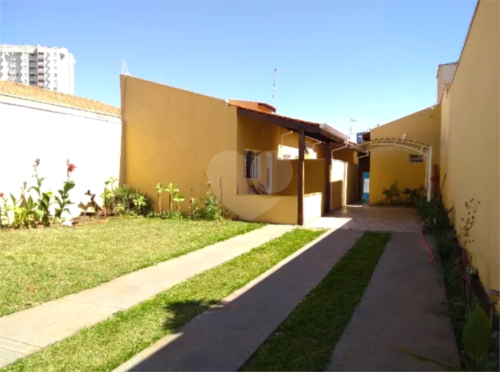 Foto REO1134499