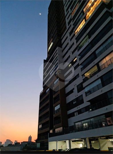 Foto REO1134508
