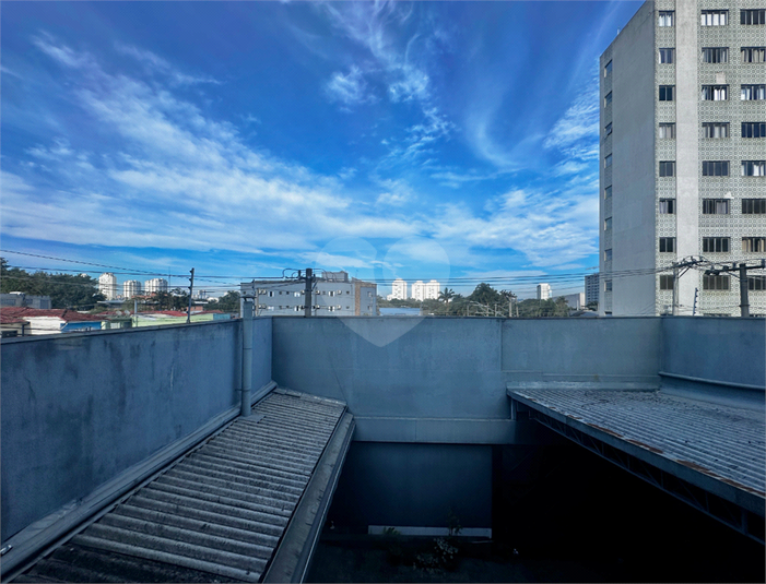 Foto REO1134512