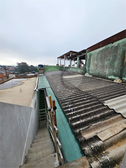 Foto REO1134515