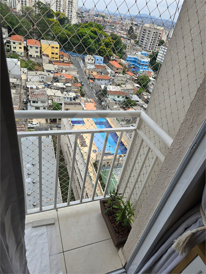 Foto REO1134527