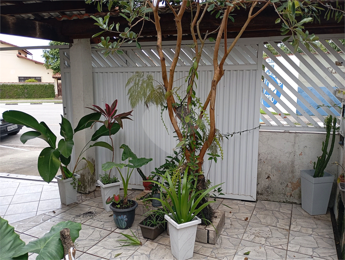 Foto REO1134539