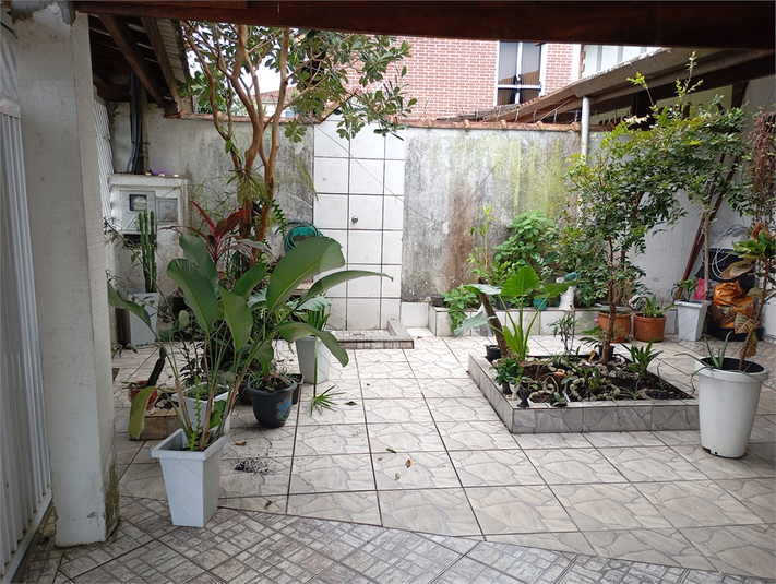 Foto REO1134539