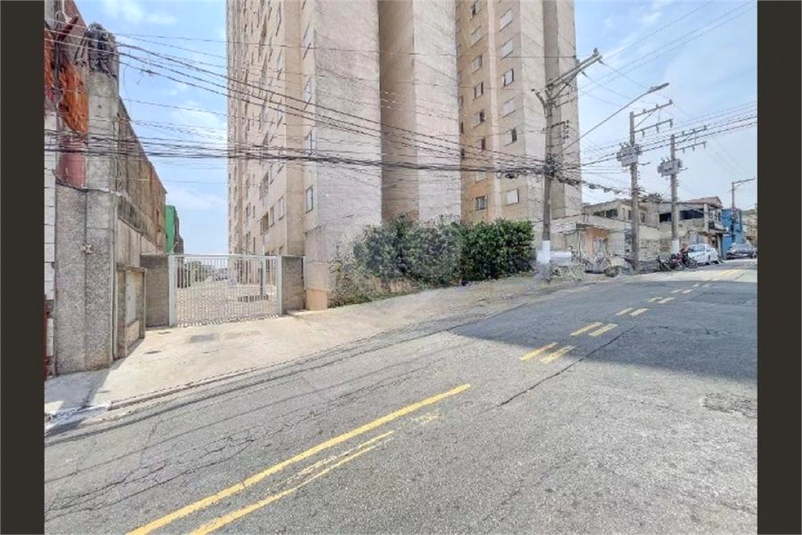 Foto REO1134541