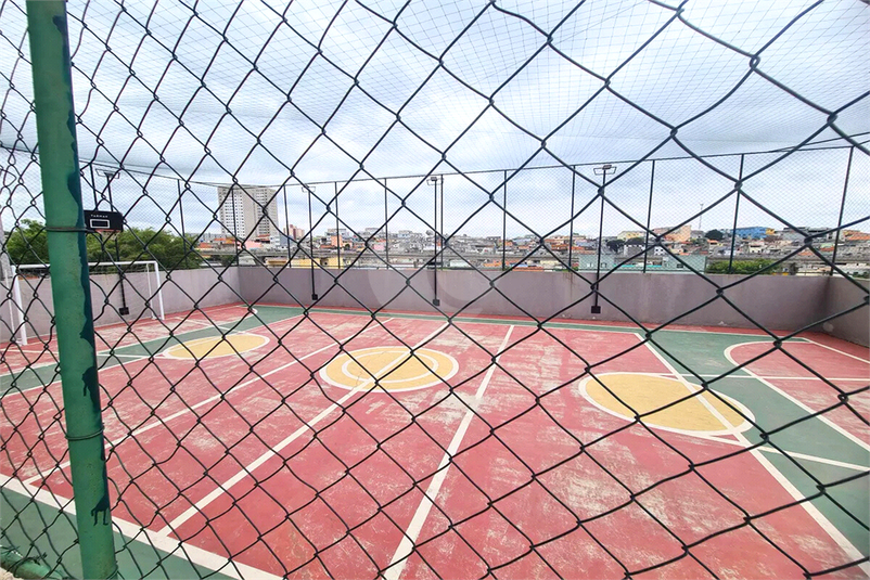 Foto REO1134547