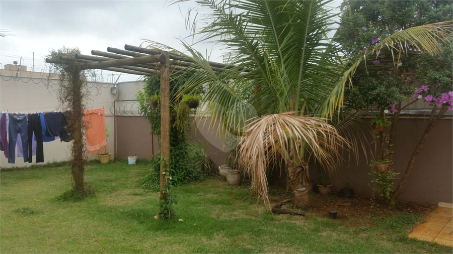 Foto REO1134565