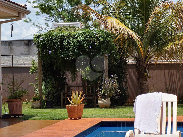 Foto REO1134565
