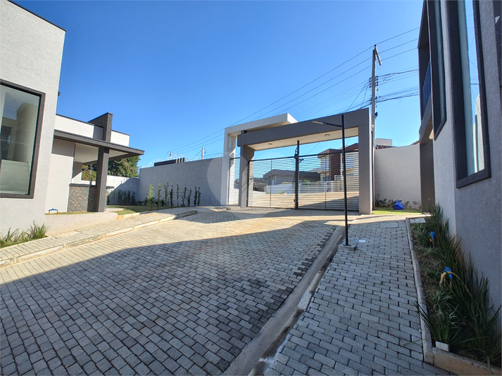 Foto REO1134579