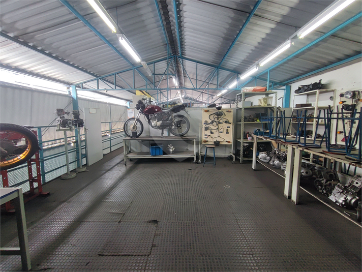 Foto REO1134581