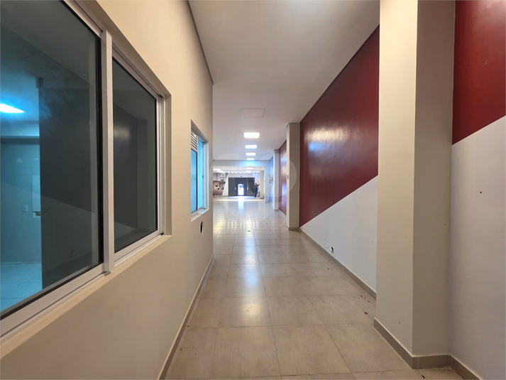 Foto REO1134588
