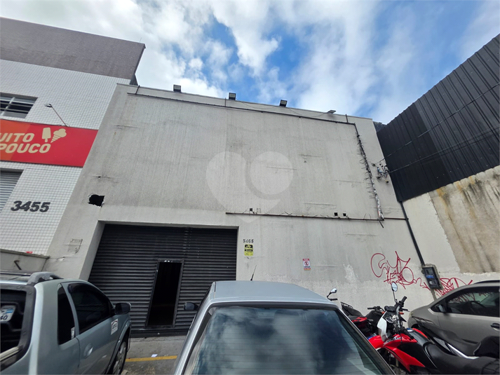 Foto REO1134588