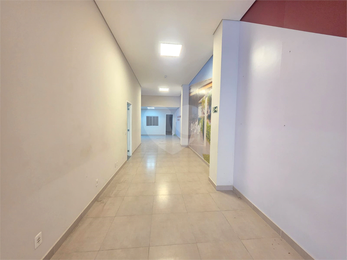 Foto REO1134588