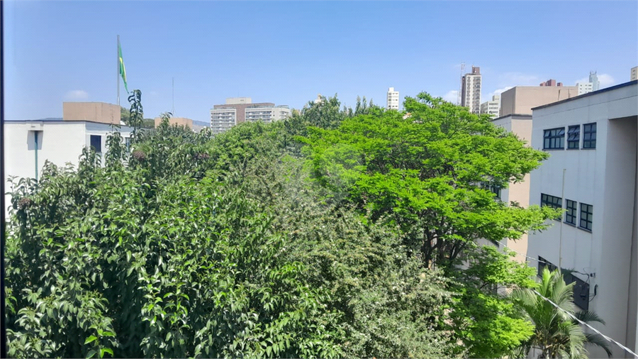 Foto REO1134597