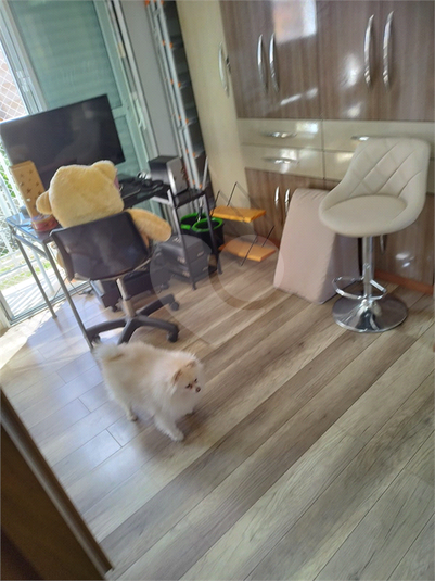 Foto REO1134602