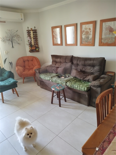 Foto REO1134602
