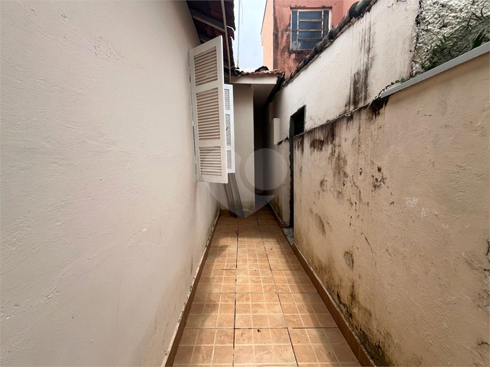Foto REO1134605