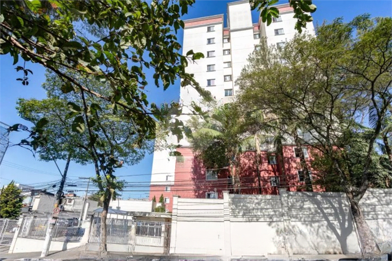 Foto REO1134642