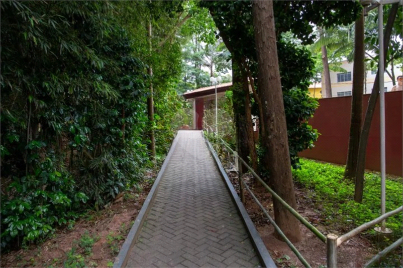 Foto REO1134642