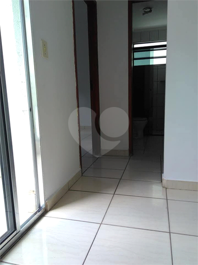 Foto REO1134650