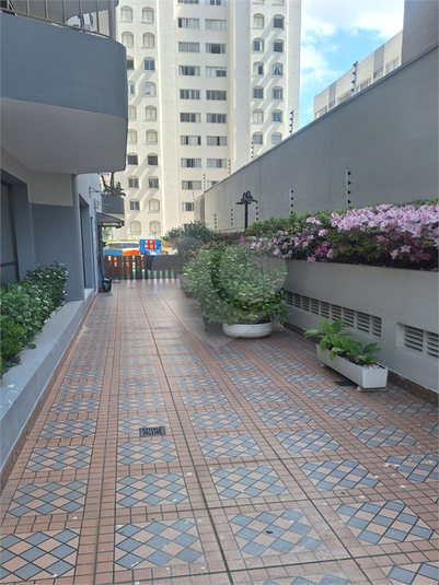 Foto REO1134658