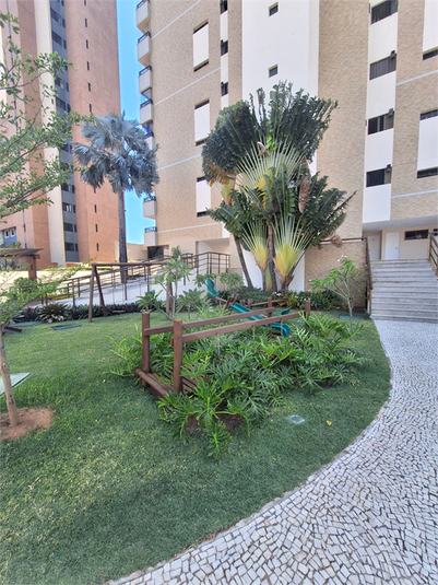 Foto REO1134661