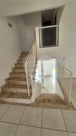 Foto REO1134668
