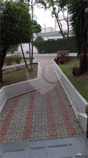Foto REO1134672