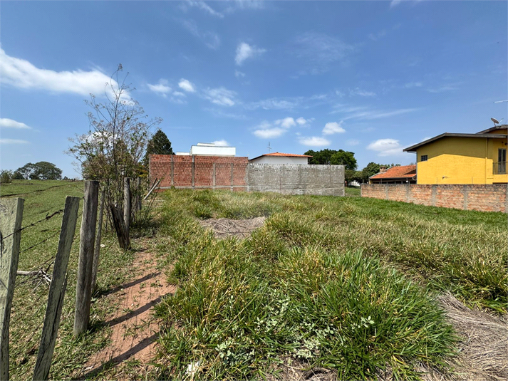Foto REO1134677
