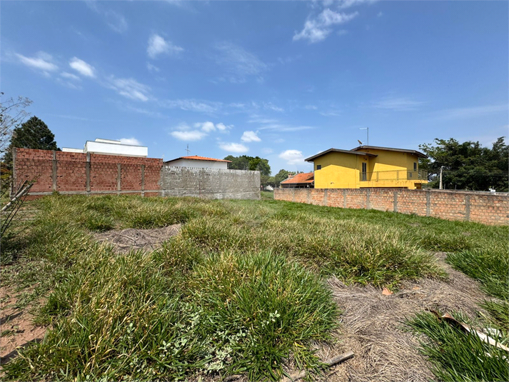Foto REO1134677