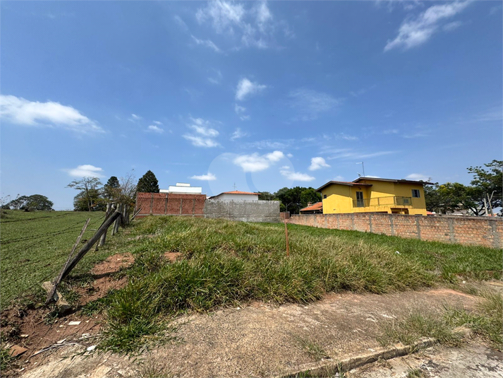 Foto REO1134677