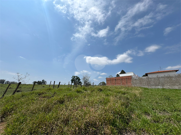 Foto REO1134677
