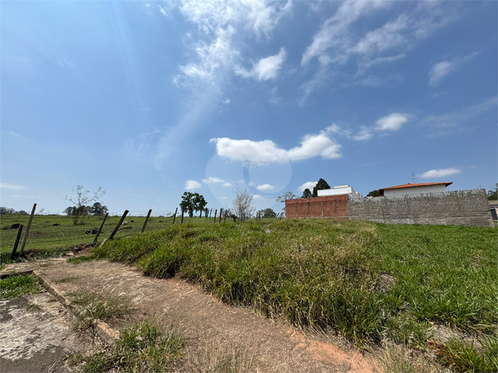 Foto REO1134677