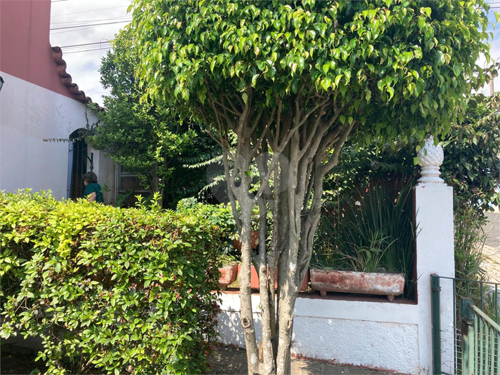 Foto REO1134680