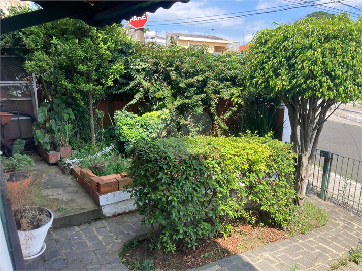 Foto REO1134680