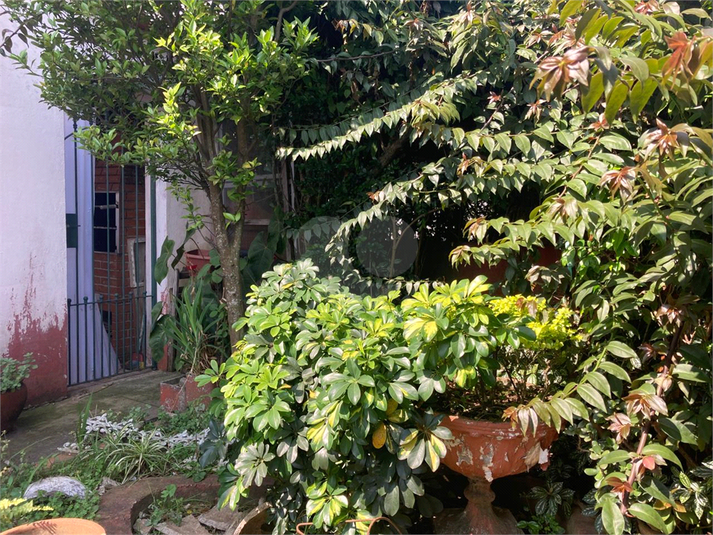 Foto REO1134680