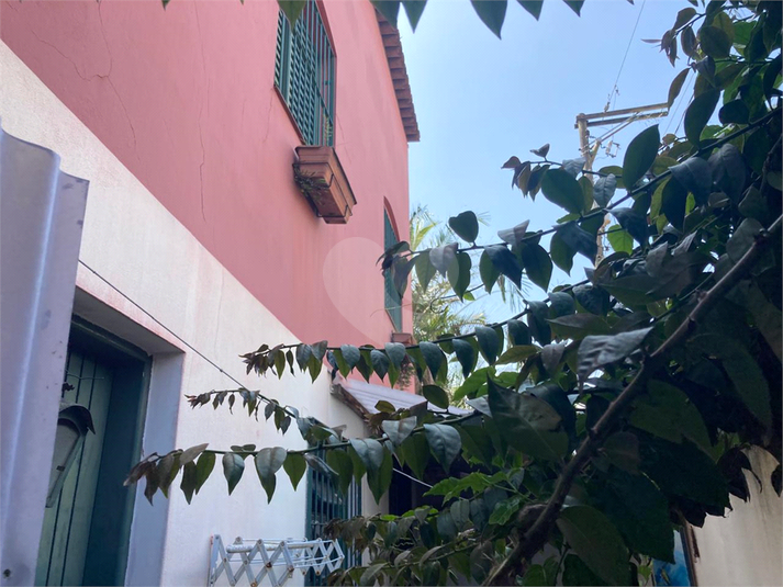 Foto REO1134680