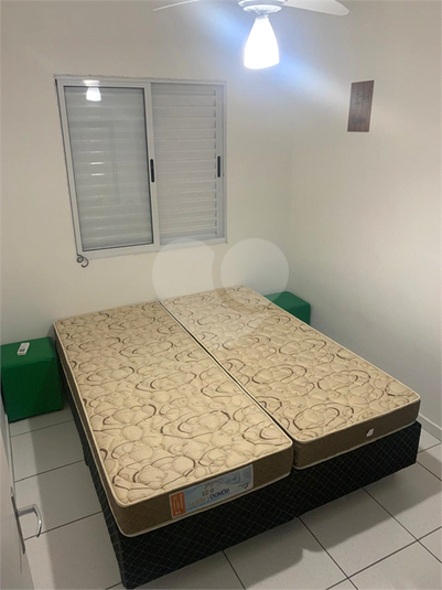 Foto REO1134706