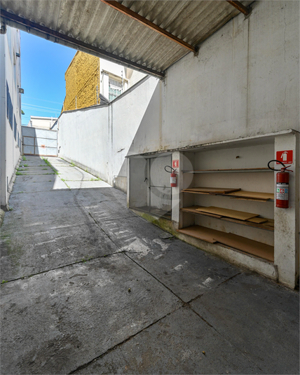 Foto REO1134708