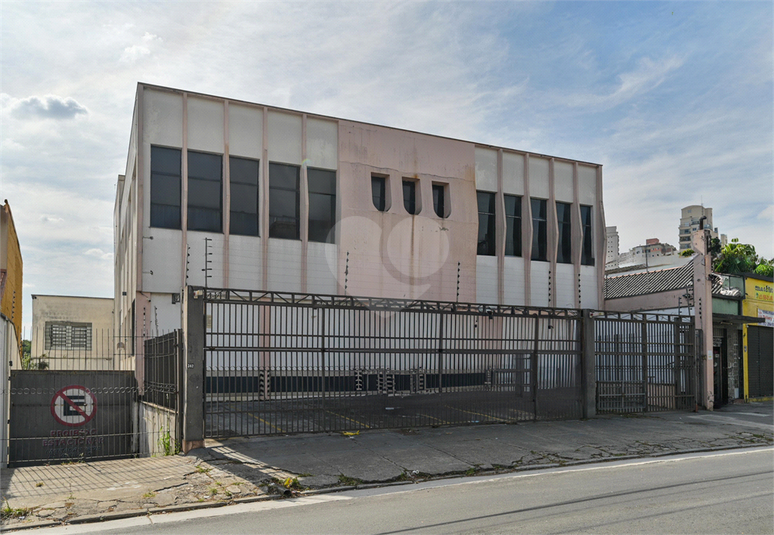Foto REO1134708